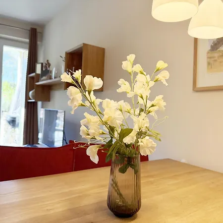 Haus Sterntaucher Whg 02 Mit Terrasse Thiessow